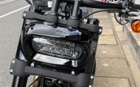 HARLEY FXFBS 2026 YLK