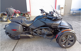 OTHER KANNAMUSPYDER F3-S 2016