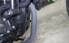 HONDA REBEL 250 2019 MC49