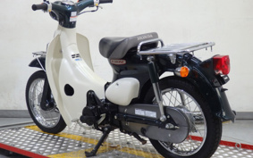 HONDA LITTLE CUB AA01