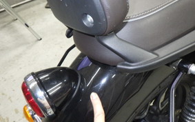 OTHER +ENFIELD ﾒﾃｵ350 2022