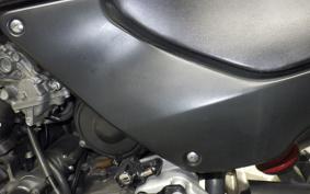 HONDA HORNET 250 2009 MC31