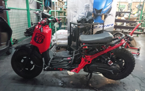 HONDA ZUMAR AF58