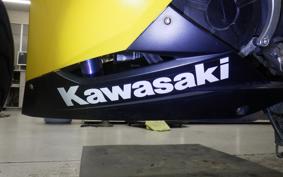 KAWASAKI NINJA 250 EX250L