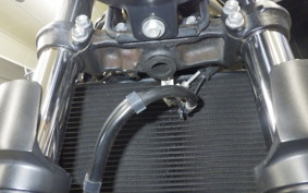 SUZUKI SV650 A 2021 VP55B