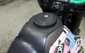 KAWASAKI KLX250D TRACKER X 2023 LX250V