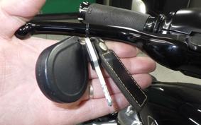 HARLEY FLSL 1750 2018