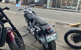 YAMAHA DRAGSTAR 400 2004 VH01J