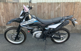 YAMAHA WR155R DG38