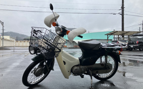 HONDA SUPER CUB50 C50