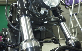OTHER +HD. XL1200X 2015