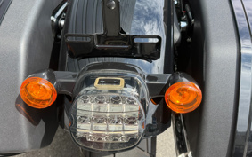 HARLEY FXLRST 2024 YXZ