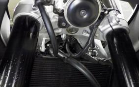 YAMAHA XSR900 GP 2024 RN96J