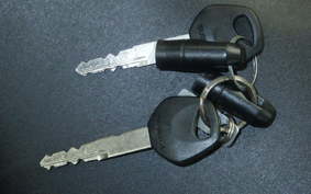 SUZUKI GSX-R125 2019 DL33B