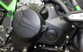 KAWASAKI ZH2 2020 ZRT00K