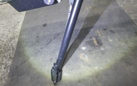 TRIUMPH TRIDENT 660 2024