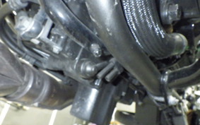 KAWASAKI ZRX1200 D 2017 ZRT20D