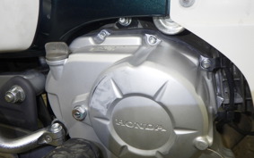 HONDA C110 SUPER CUB 2021 JA44