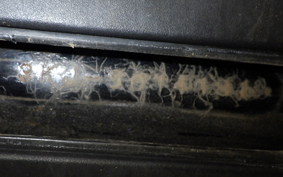 YAMAHA JOG Gen.1 3KJ