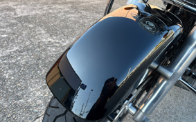 HARLEY FLD 2011 GZ4