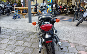KAWASAKI W800 FINAL ED 2019 EJ800A