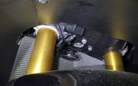 KAWASAKI ZX 1400 NINJA R A 2015