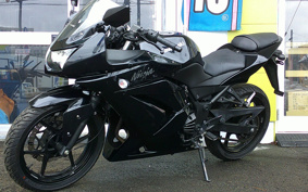 KAWASAKI NINJA 250R EX250K