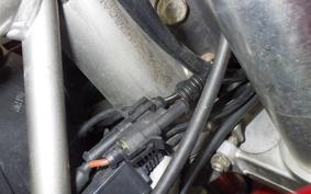 DUCATI SS800IE 2005