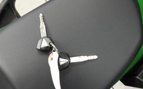 KAWASAKI NINJA 1000 SX 2021 ZXT02K