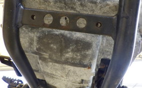 YAMAHA TRICKER DG10J