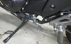SUZUKI GSX250 R 2024