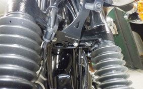 KAWASAKI W800 2025 EJ800E