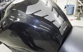 YAMAHA FZ1 FAZER 2013 RN21J