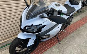 KAWASAKI NINJA 250 EX250L