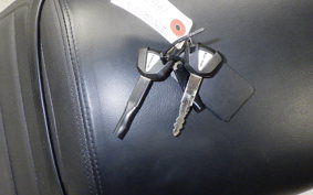 KAWASAKI Z900RS CAFE 2024 ZR900K