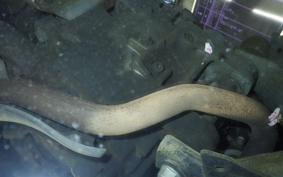 HONDA FORZA SI ABS 2024 MF12