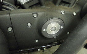 HARLEY XL883N 2017