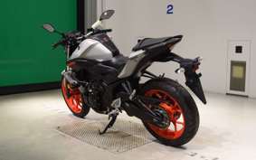 YAMAHA MT-25 2009 RG43J