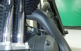 HARLEY XL1200NS 2018