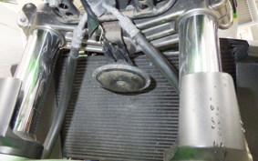 KAWASAKI ZRX1200 D 2013 ZRT20D