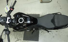 TRIUMPH TRIDENT 800 2026