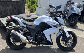 KAWASAKI Z250 ER250C