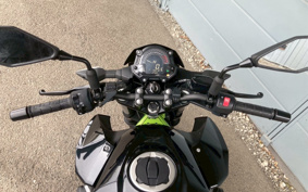 KAWASAKI Z400 2019 EX400G
