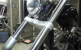 OTHER +UNREGISTERED MODEL by BDS883 2026