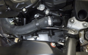 MV AGUSTA BRUTALE 800 RR 2019