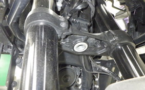 HARLEY ﾊﾟﾝ AMERICA1250S 2021