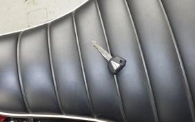 KAWASAKI W800 2022 EJ800E