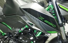 KAWASAKI Z250 Gen.2 EX250Y