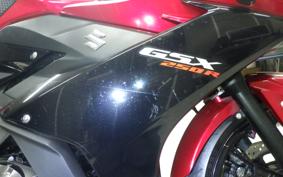 SUZUKI GSX250R