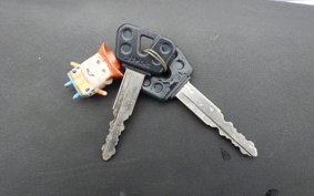 YAMAHA TRICKER DG10J